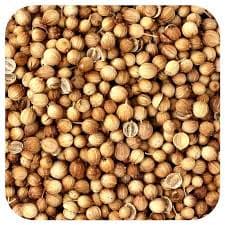 Coriander